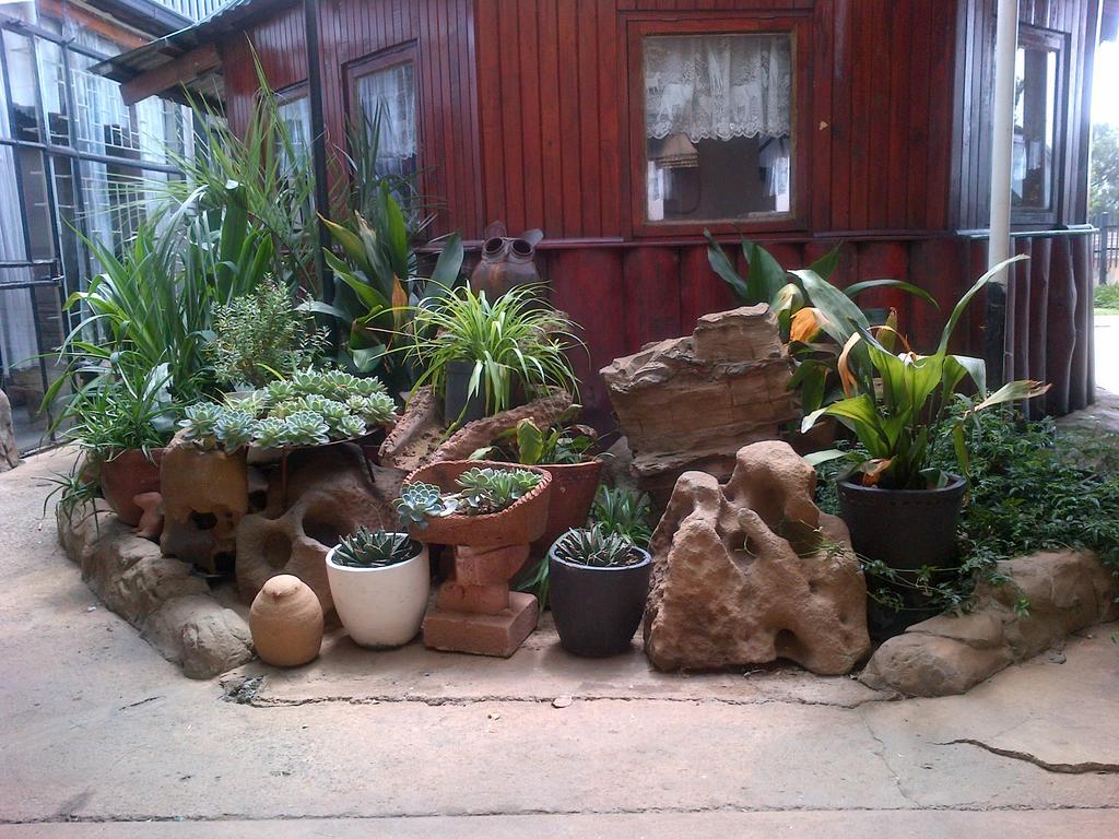 Pat'S Place Machadodorp Bagian luar foto